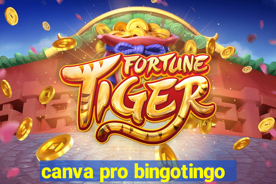 canva pro bingotingo